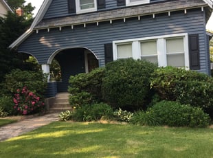 Bush Trimming by Nathan Robinson for Bill T. in Baltimore, MD