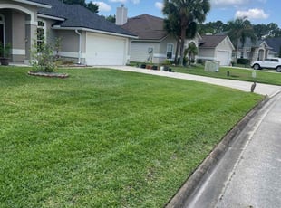 Leslie S.'s Lawn Mowing Service service result