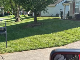 Meghan E.'s Lawn Mowing service result