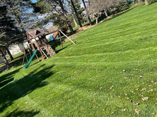 Michael H.'s Lawn Mowing service result