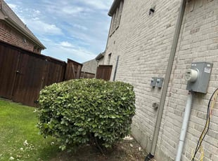Bush Trimming by Patrick Stewart for Tunde O. in Frisco, TX