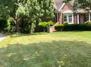 Garrett p.'s Lawn Care service result