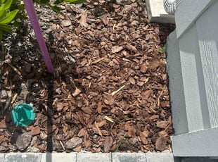 Weeding by Shaun Waters for Andrew L. in Jacksonville, FL
