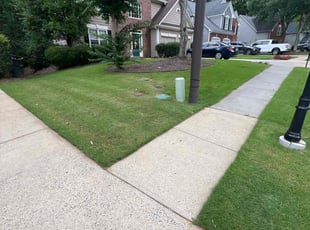 Nikki M.'s Lawn Mowing Service service result