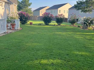 Stephanie R.'s Lawn Maintenance service result