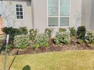Bush Trimming by Paul Jones for Jamal C. in Cypress, TX