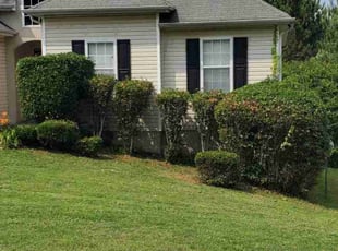 Bush Trimming by Rodney Tucker for Makeda F. in Jonesboro, GA