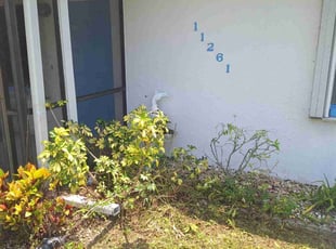 Bush Trimming by Peterson Dariste for Troy L. in Punta Gorda, FL