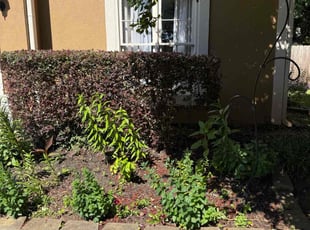 Bush Trimming by Ethan Wright for Shante L. in Kennesaw, GA