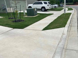 Thomas R.'s Yard Cutting service result