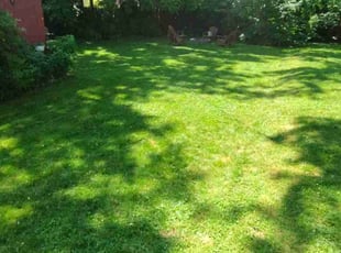 Anthony G.'s Lawn Mowing Service service result