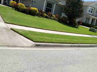 Carmen G.'s Lawn Mowing service result