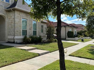 Elba S.'s Lawn Mowing service result