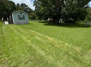 Reyna N.'s Lawn Mowing Service service result