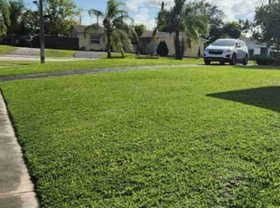 Marly C.'s Lawn Mowing Service service result