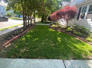Alexandria S.'s Grass Cutting service result