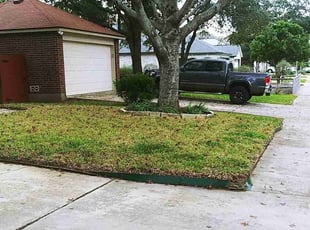Leaf Removal by Derek Schoenfeld for John B. in San Antonio, TX
