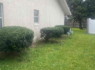 Bush Trimming by Jr Valle for Angel H. in Palm Coast, FL