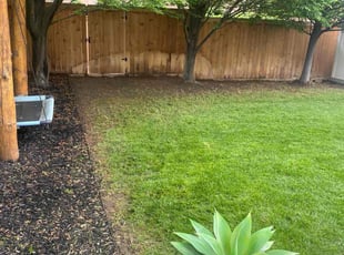 Cleanups by Eliezer Paez for April A. in Salt Lake City, UT