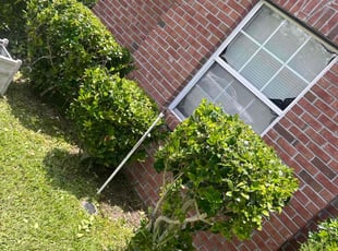 Bush Trimming by Shaun Waters for Teresita F. in Jacksonville, FL