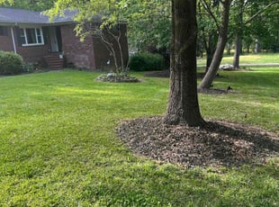 Jackie H.'s Lawn Care service result