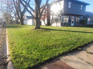 Monique W.'s Lawn Maintenance service result