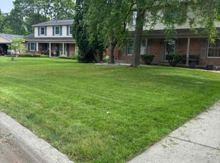 Dee D.'s Lawn Care service result
