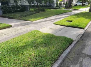 Janice Q.'s Lawn Care service result