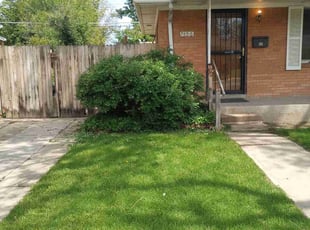 Bush Trimming by Alley Parker for Christina H. in Westminster, CO