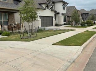 Felice M.'s Grass Cutting service result