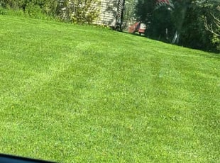 Jefferson L.'s Grass Cutting service result