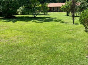 Ronnica W.'s Lawn Care service result