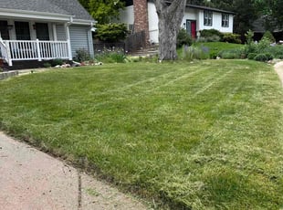 Weeding by Ronny Armenta for Phil v. in Morrison, CO