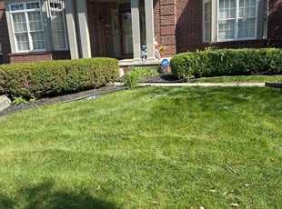 Larry M.'s Lawn Mowing service result