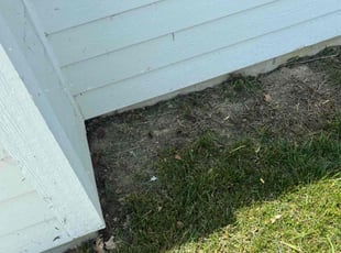 Leaf Removal by Chris Ellis for Hellen O. in Camby, IN
