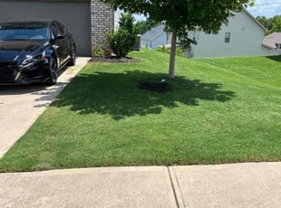Esmie B.'s Lawn Mowing Service service result