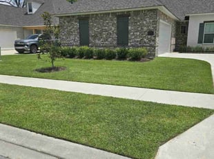 Charles L.'s Grass Cutting service result