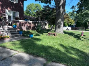 Rita W.'s Yard Cutting service result