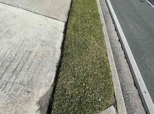 Kathy Y.'s Lawn Mowing service result
