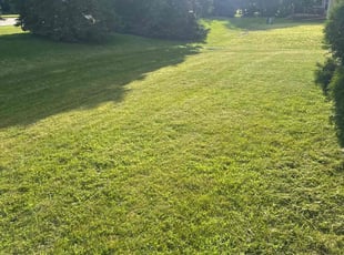 Margaret T.'s Lawn Care service result