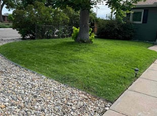 KRIS M.'s Lawn Mowing service result