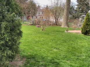 Cleanups by Shameka King for Melanie P. in Toledo, OH
