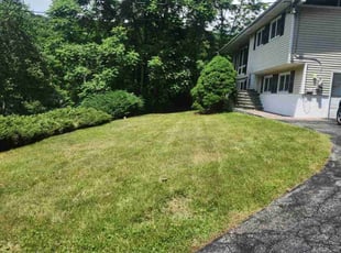 Matt M.'s Lawn Service service result