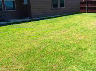 Jane L.'s Lawn Care service result