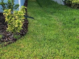Allison R.'s Lawn Service service result