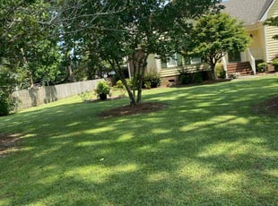 Michael J.'s Lawn Care service result