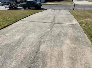 Carol H.'s Grass Cutting service result