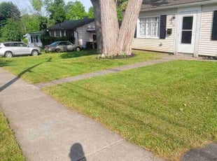 Roddy H.'s Lawn Mowing Service service result