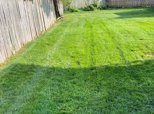 Brenda C.'s Lawn Mowing Service service result