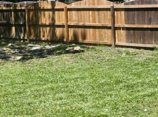 Weeding by Gregory Young for Tyleather G. in Lexington, SC